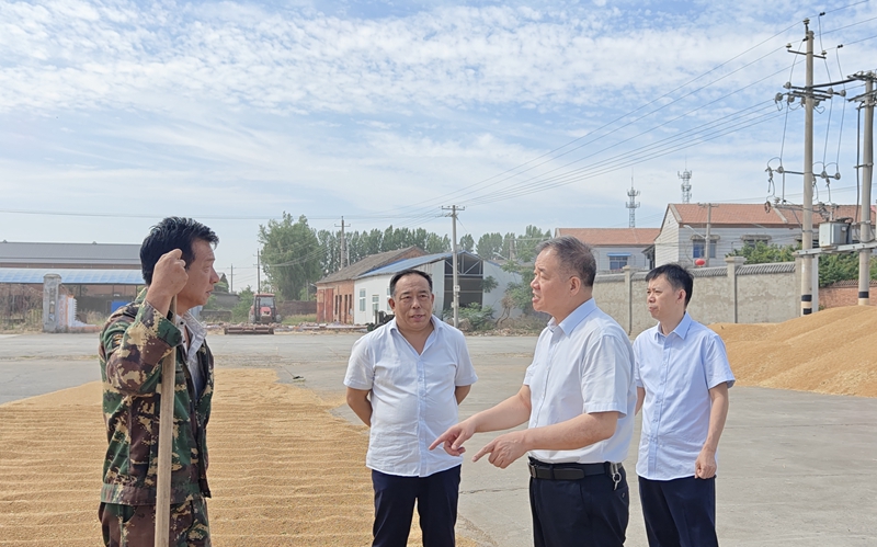 集團領(lǐng)導(dǎo)視察“三夏”工作